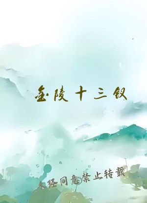 金陵十三钗 小说